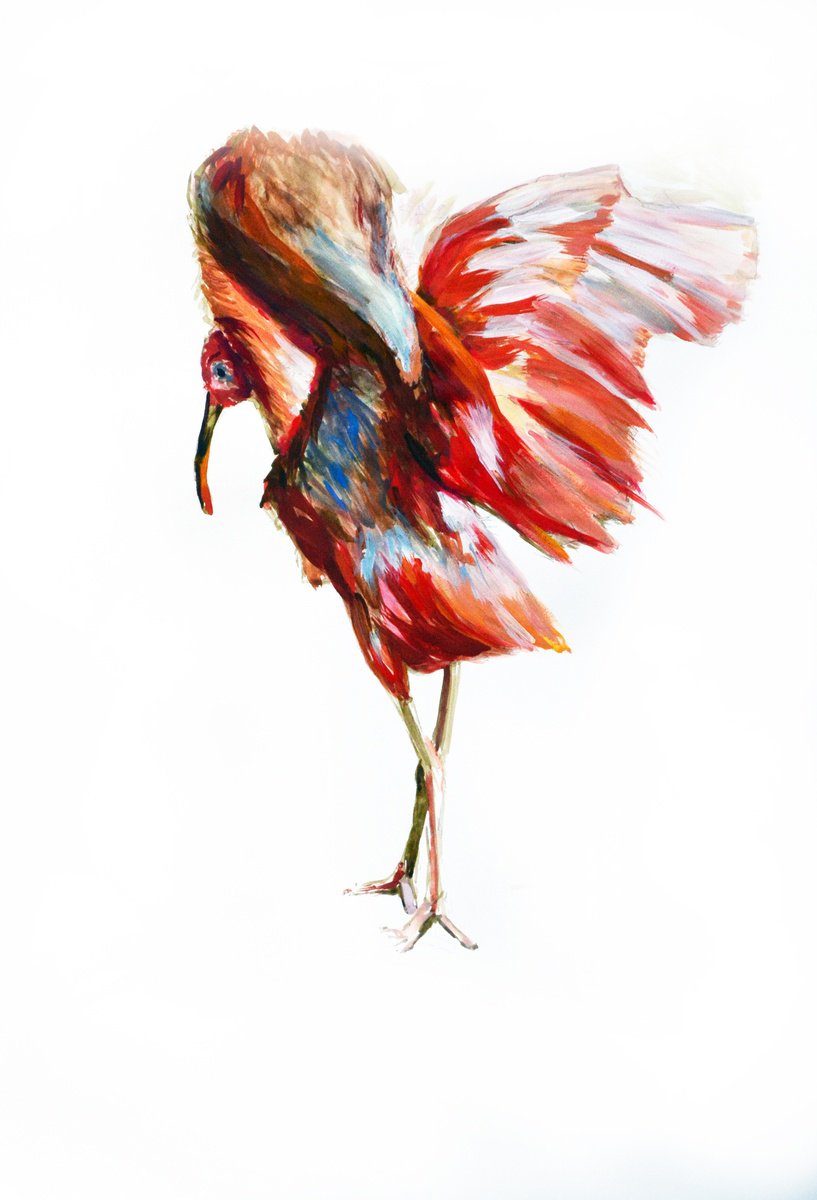 Impressionistic Animal Watercolour By Anna Brazhnikova, 23 X 33, Fancy Ibis - Bird Painting, Original Artwork