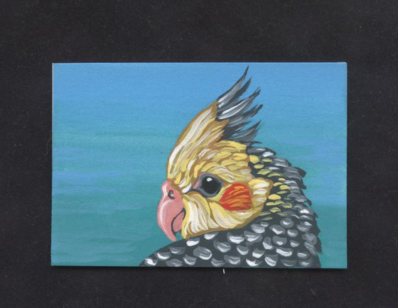 ACEO ATC Original Miniature Painting Cockatiel Parrot Pet Bird Art-Carla Smale