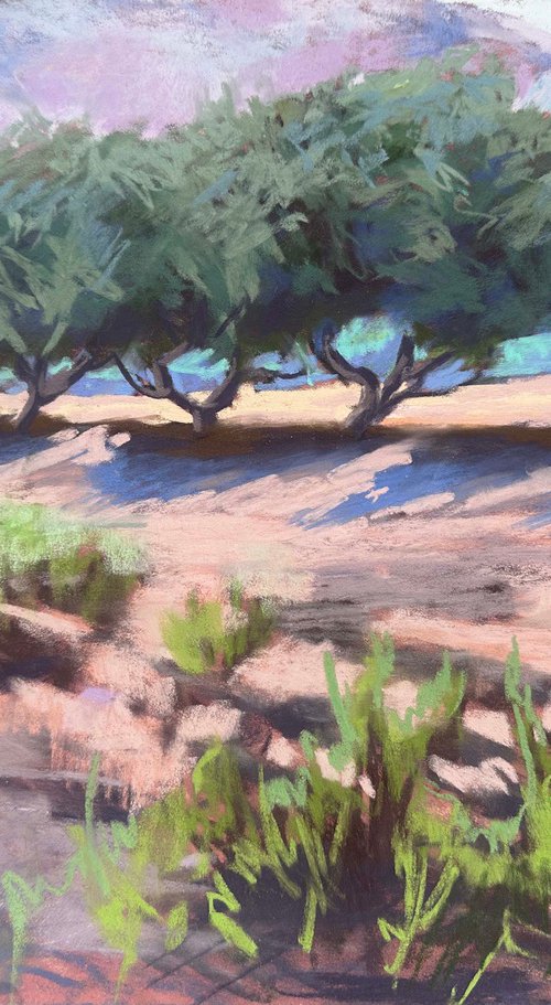 Olive trees by Anna Bogushevskaya