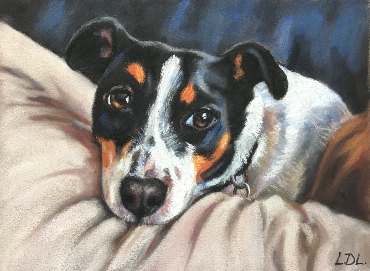 Waiting - Jack Russell by Lorna Lancaster ASEA