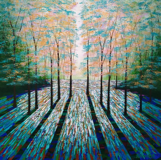 Secret Forest Shadow and Light