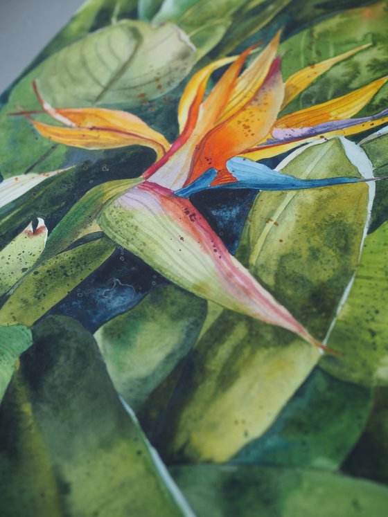 Tropical strelitzia - original green sunny watercolor flower and leaves