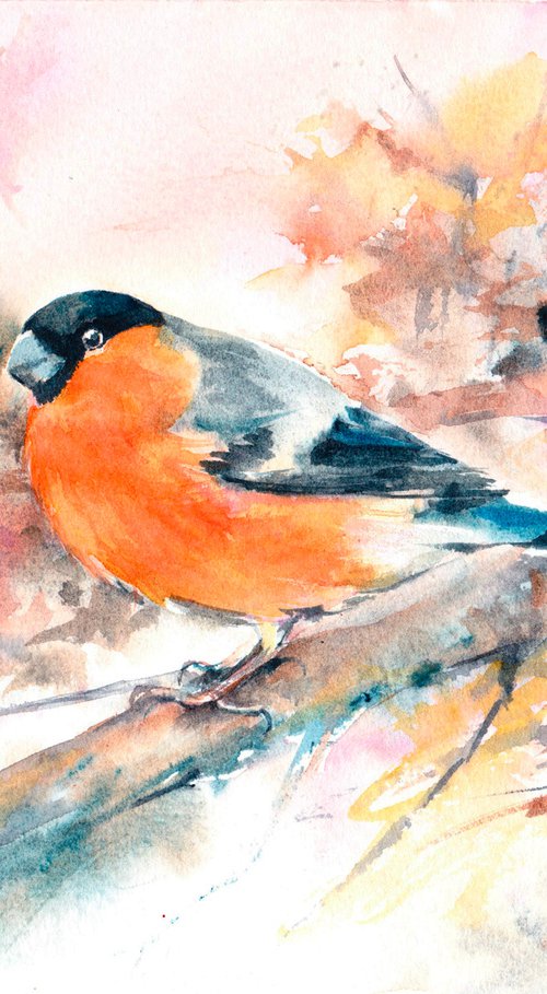 Bullfinch painting, Bullfinch in watercolour, Original Watercolour Bird painting by Anjana Cawdell