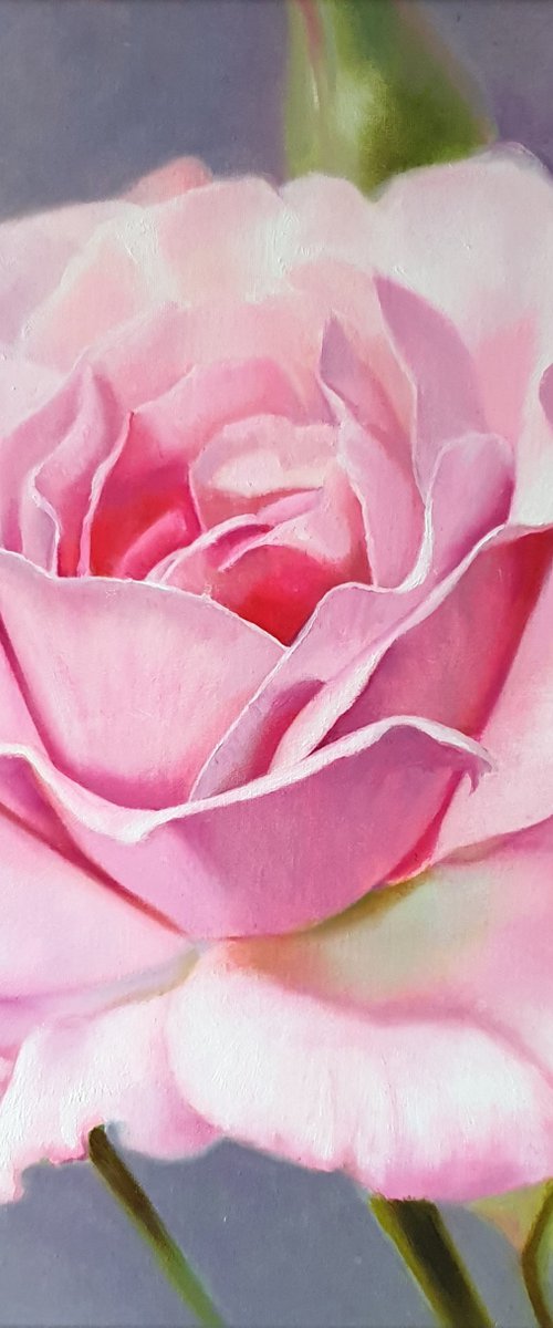 "Sounds of tenderness."  rose flower  liGHt original painting  GIFT (2021) by Anna Bessonova (Kotelnik)