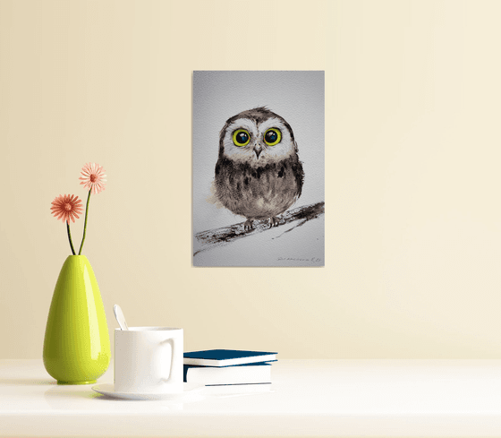 Little owl on a branch #20