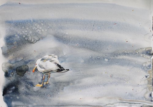 A sullen seagull by Marina Skepner