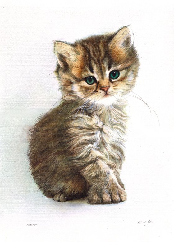 Kitten I