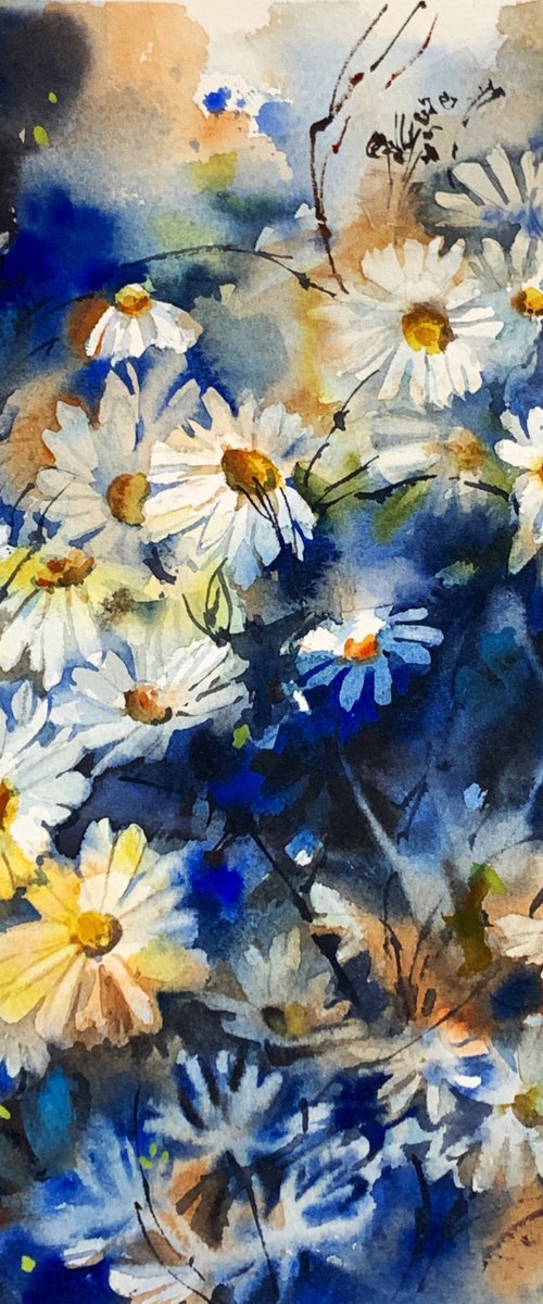 White Daisies by Sophie Rodionov
