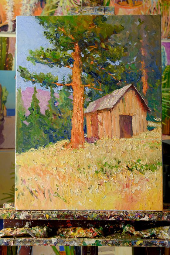 Old Cottage and Sequoia