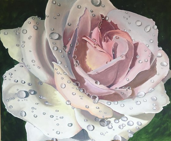 Morning Dew