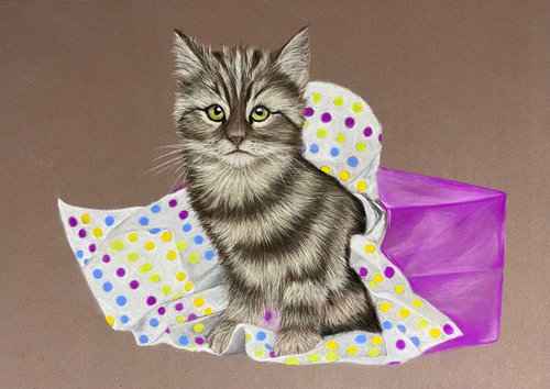 Kitten unwrapped by Maxine Taylor