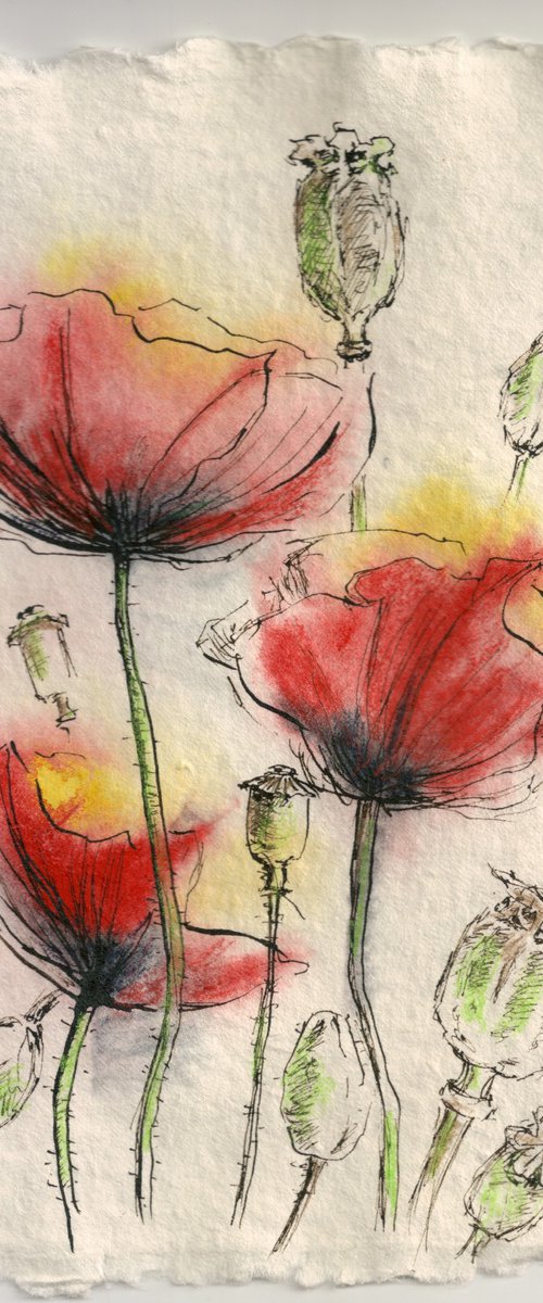 Poppies by Ilona Borodulina