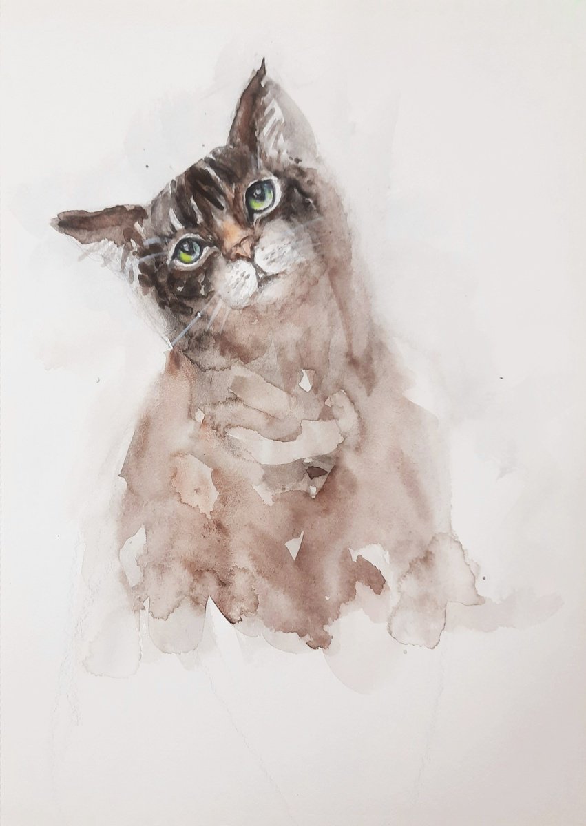 Impressionistic Watercolour , Kumudamini The Tabby Cat By Asha Shenoy, 8 X 12, Artwork For Sale On Artfinder