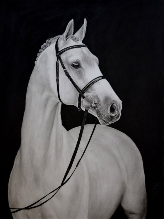 White Horse #2