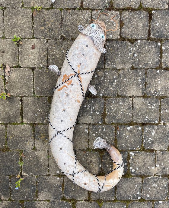 THE CATFISH OF GALATEA