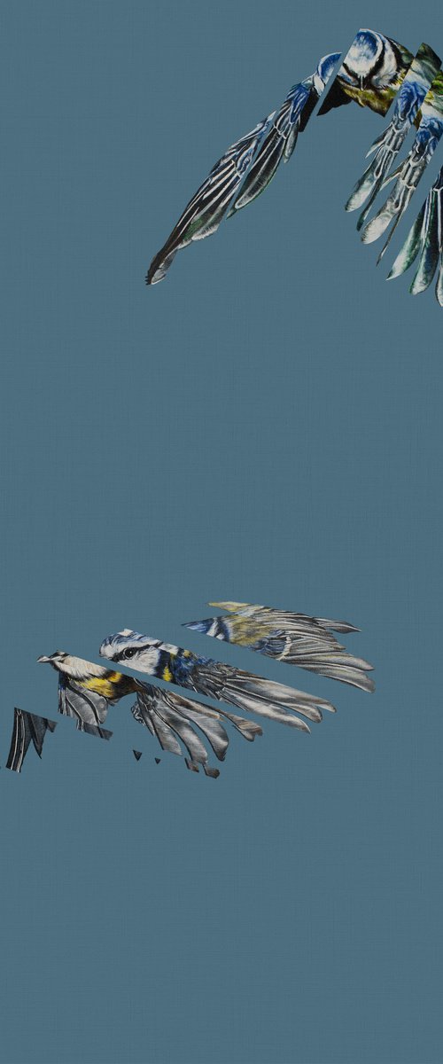 Broken Flight by Natalie Toplass