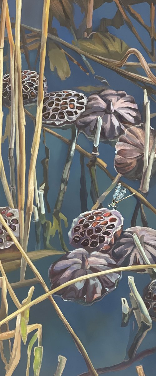 Lotus pond.Pods by Guzel Min