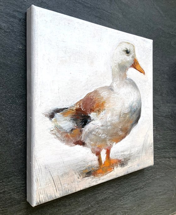 White Duck