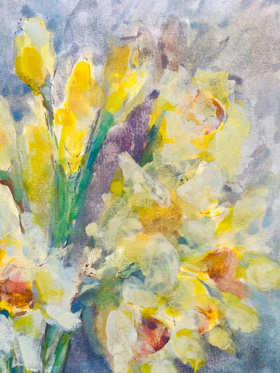 Daffodils 3 2024