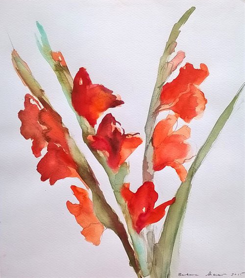 gladiola flowers by Barbara Mazur