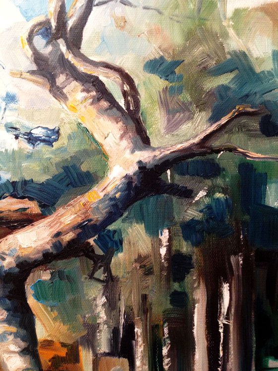 A bare tree- original oil painting.38 x 61 cm ( 15 x 24 inches)
