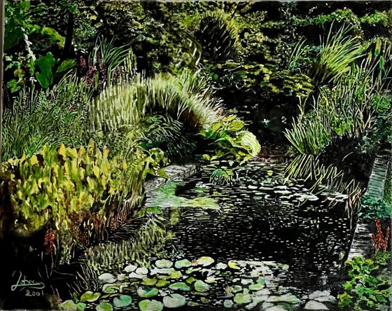 Pond in the garden