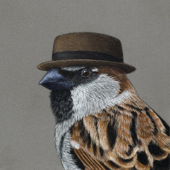 Original pastel drawing bird "House sparrow"