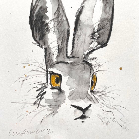 Watchful Charcoal Hare #02