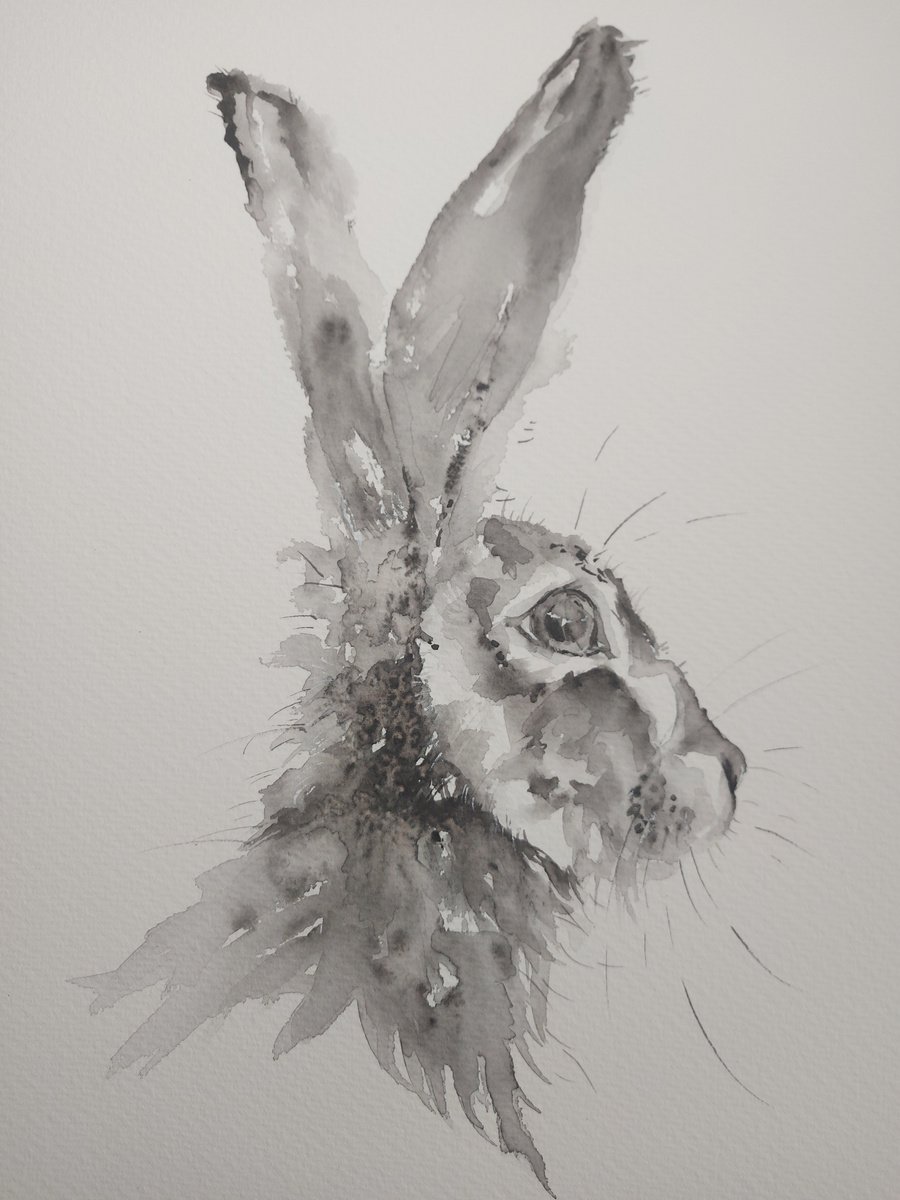 Monochrome hare by Sue Green