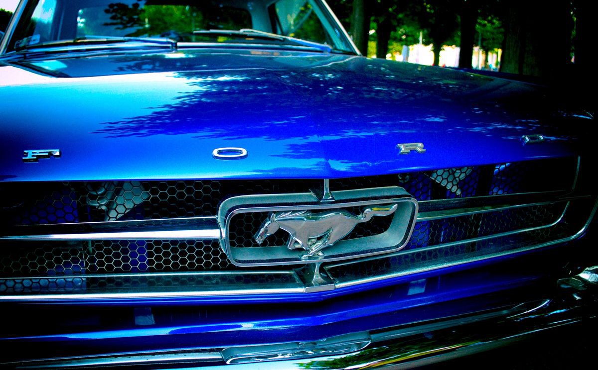 Marc Ehrenbold | Original Photograph | Mustang | 102 X 76Cm | Artwork For Sale On Artfinder