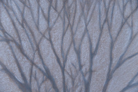 Minimal tree branches