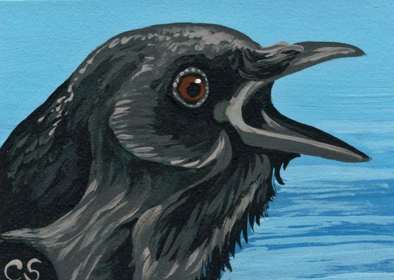 ACEO ATC Original Miniature Painting Crow Raven Bird Wildlife Art-Carla Smale