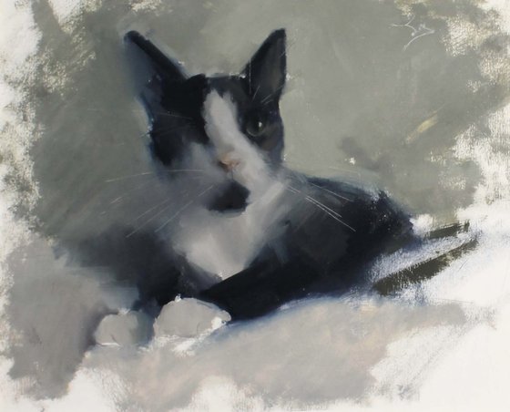 Watchful Whiskers - Uno