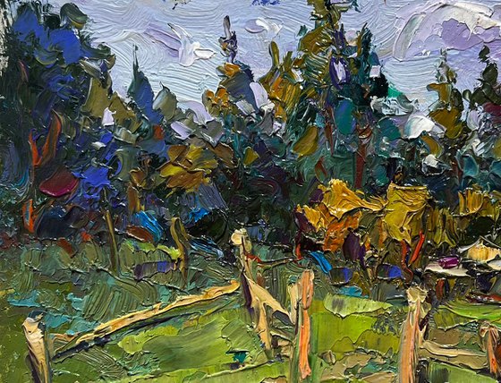 House near the forest