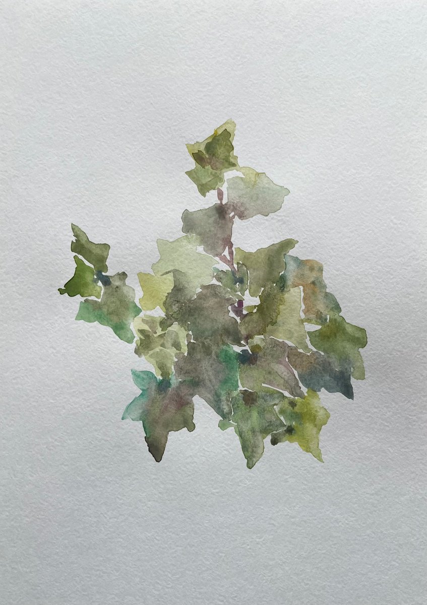 Garden ivy. Original watercolour painting. 2020 by Elena Klyan