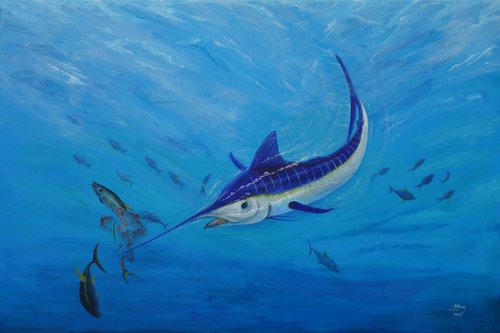 Marlin, Pacific Blue by John N Mason