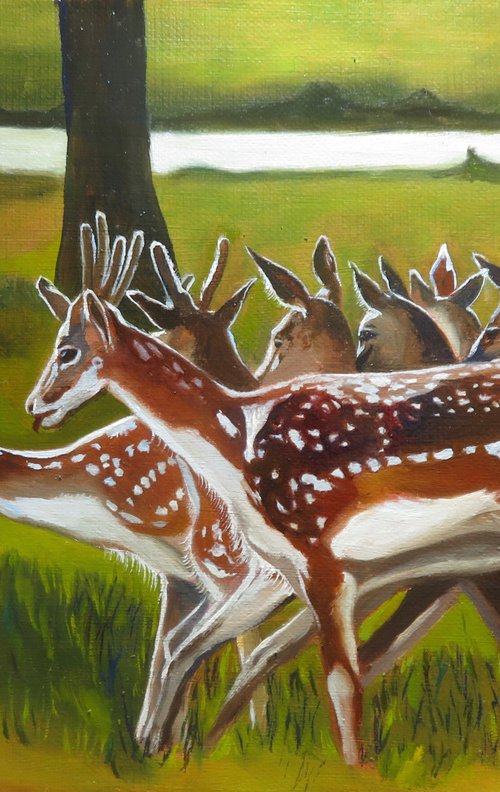 Deers, Original Oil Painting by Anne Zamo by Anne Zamo