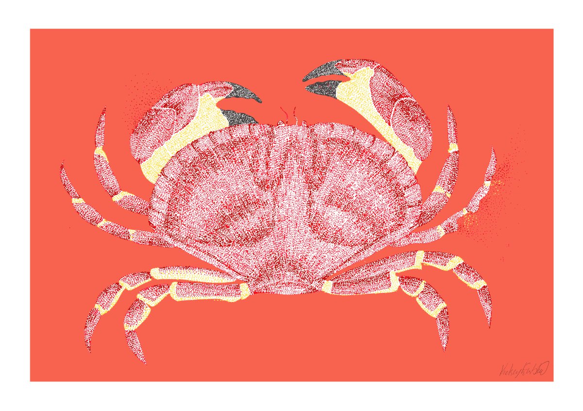 Crabbing - Crap Stippling Illustration by Kelsey Emblow