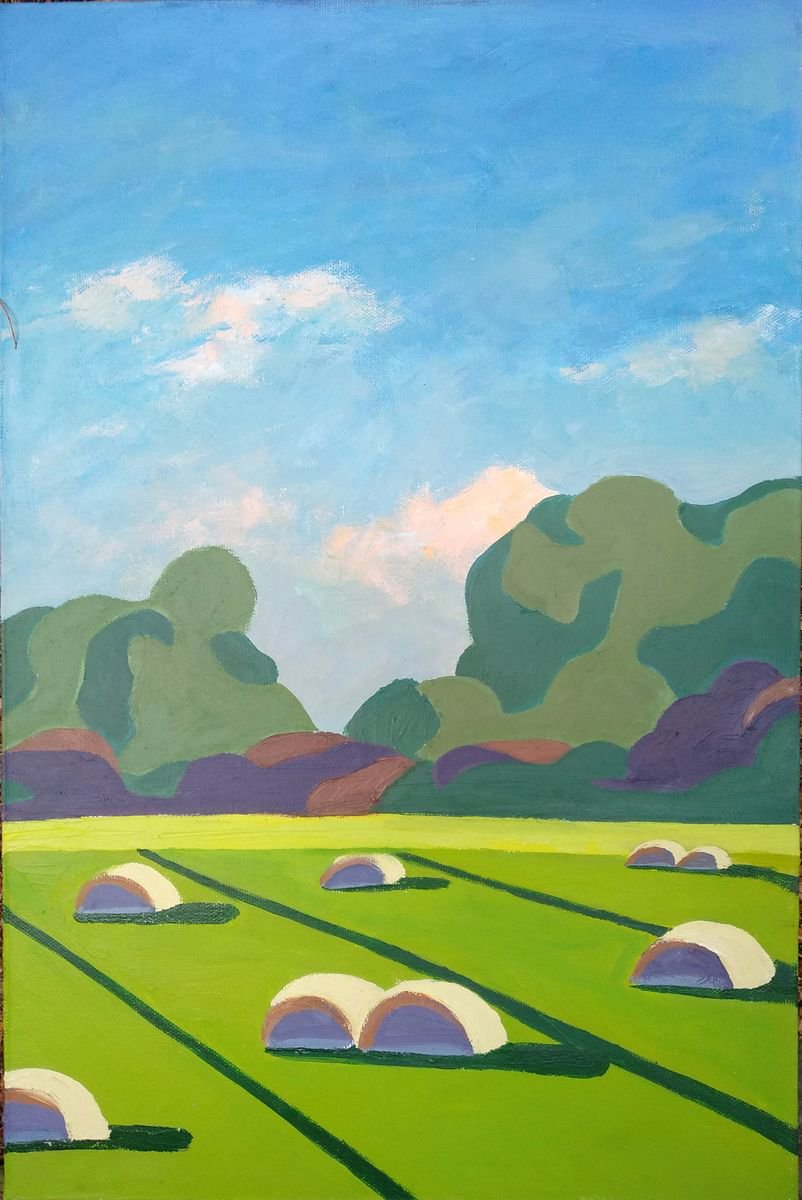 Summer fields by Nata New
