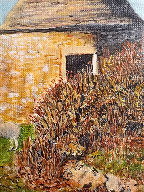 Sheeps in the countryside