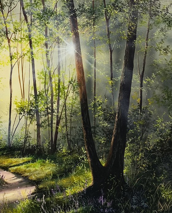 Sun-Kissed Path