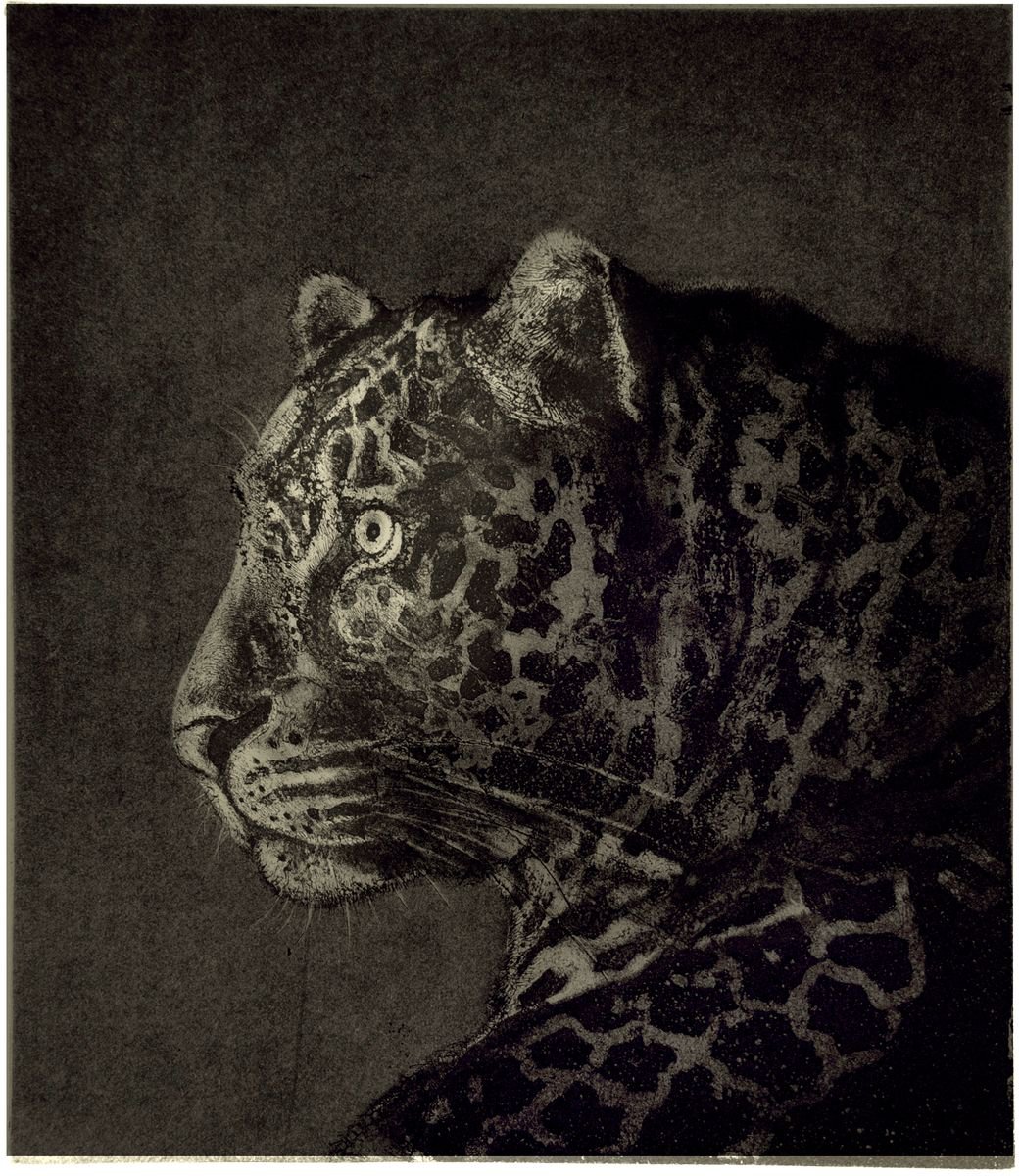Illustrative Animal Etchings & Engravings By Isabel Hutchison, 15 X 17, African Leopard Etching, Original Artwork