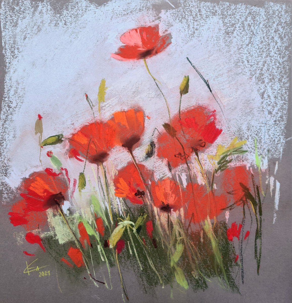 Poppies. Sketch by Ekaterina Solod