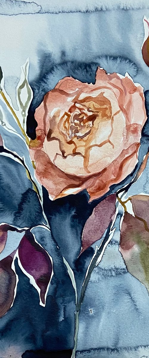 Rose No. 6 by Elizabeth Becker