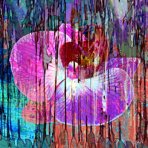 Abstract Pink Orchid