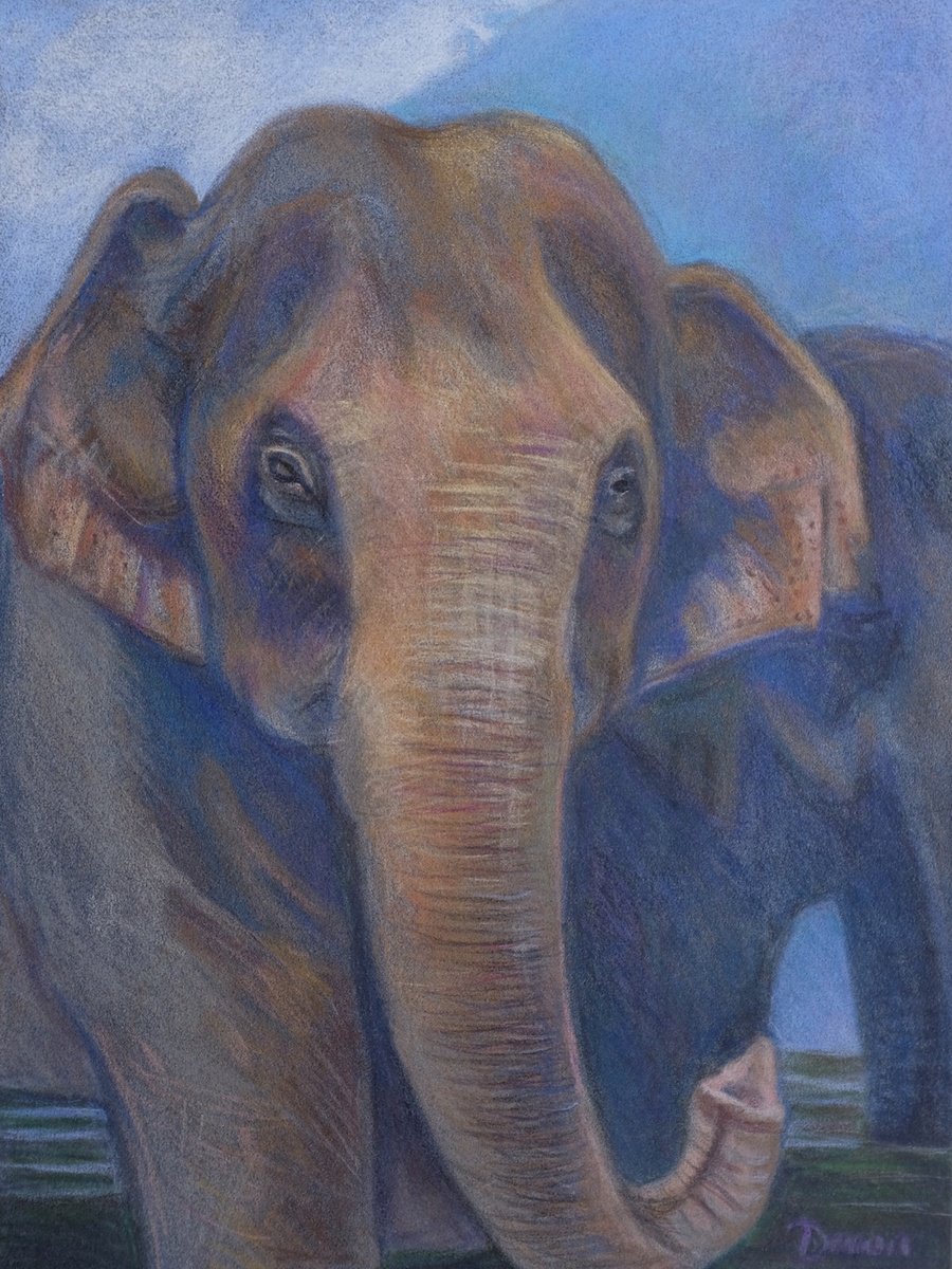 Old Soul (Elephant) by Dawn Rodger by Dawn Rodger