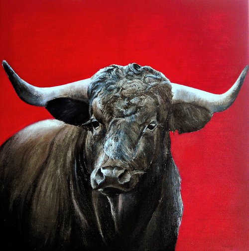 Brave bull on red by TOMAS CASTAÑO