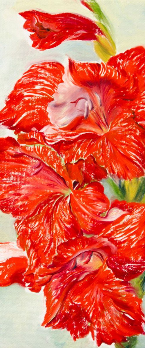 The Red Gladiolus by Daria Galinski