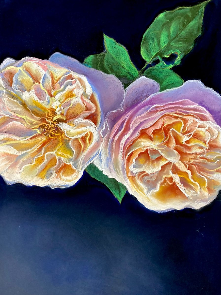 Two roses by John Cottee