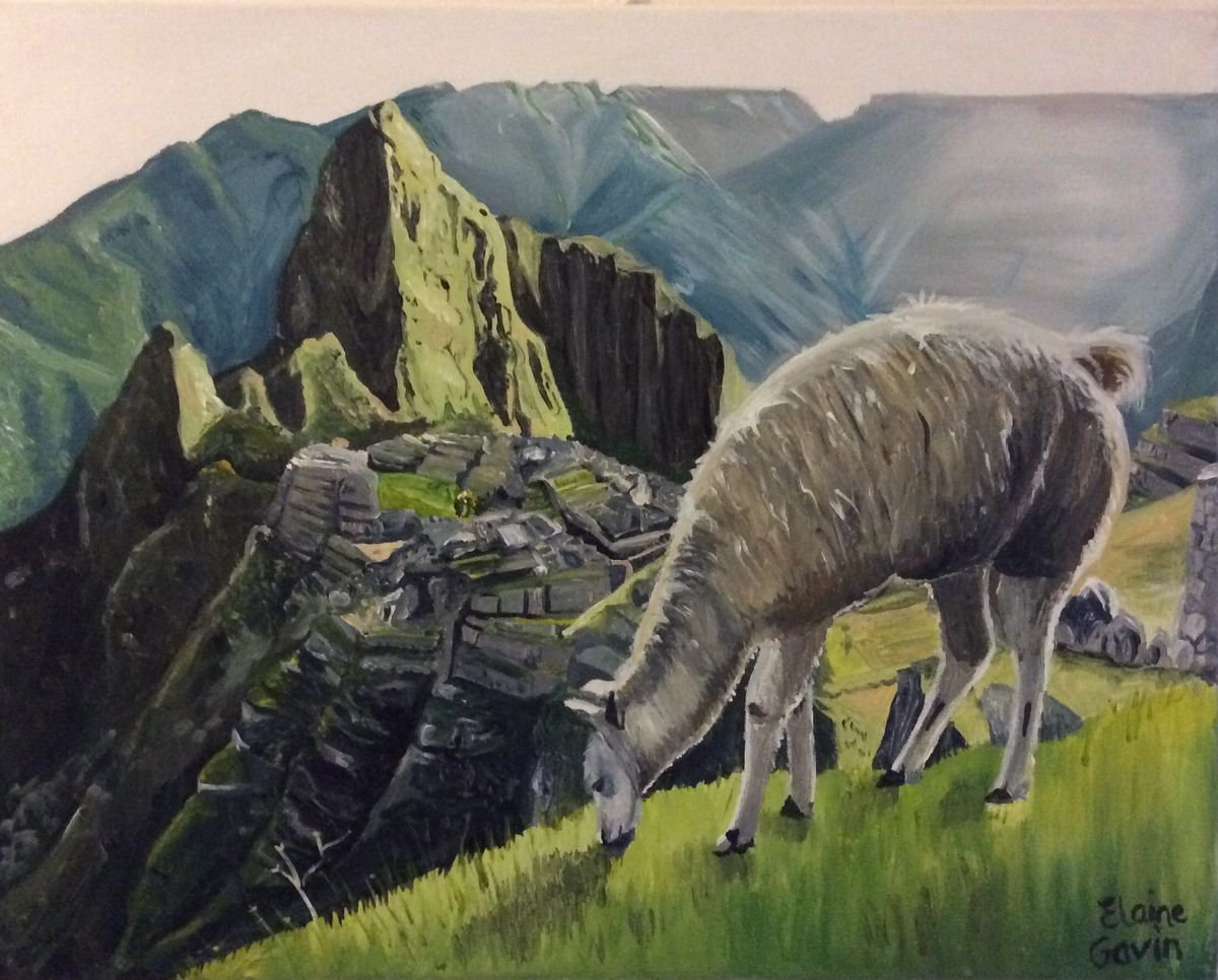 Alpaca at Machu Picchu by Elaine Gavin